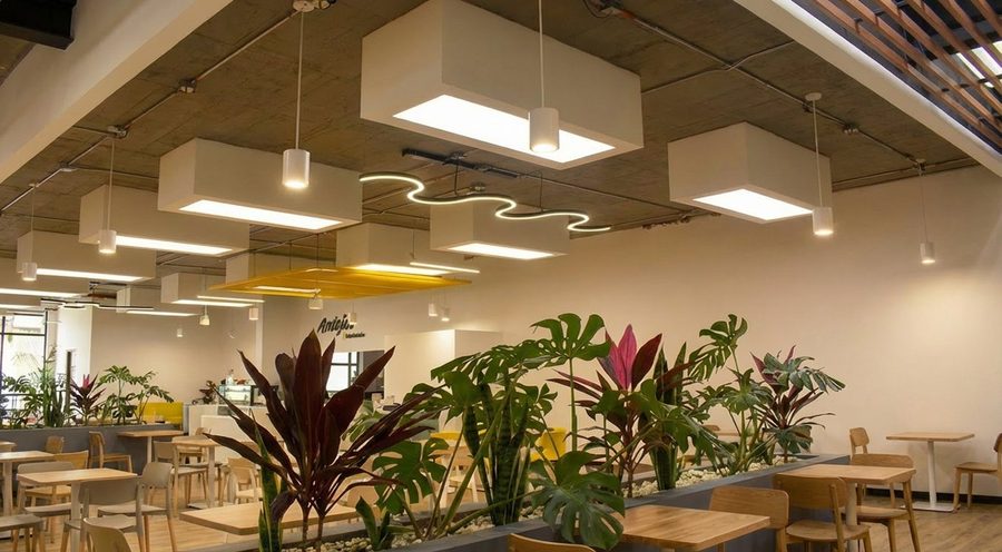 Comercial y corporativo
